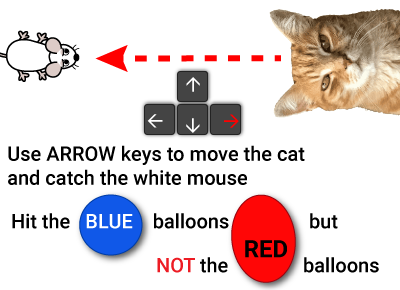 Instructions graphic for maths game cat-and-mouse